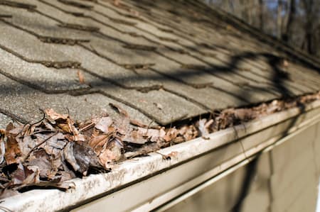 The Risks of Ignoring Routine Gutter Maintenance: Gutter Cleaning Facts Every Marianna Homeowner Should Know Thumbnail